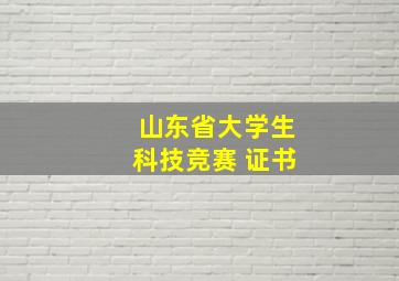 山东省大学生科技竞赛 证书